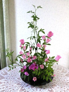 盛花2