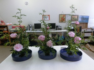 光生園3