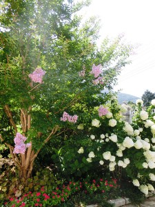 お花