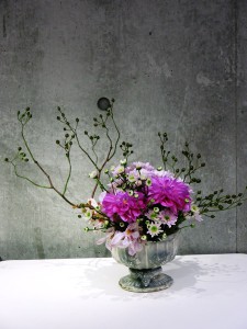 小菊