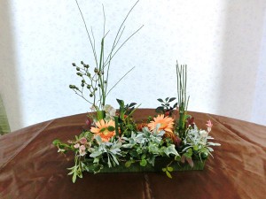 ショートプランツ