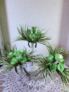 ソラフラワー2