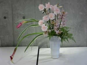 カーネーション