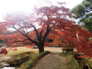 六義園3