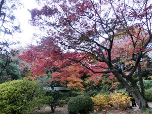 六義園5