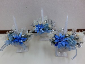 ポインセチア2