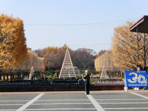 昭和記念公園2