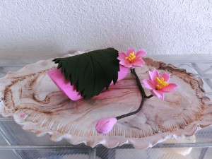 みどりさん