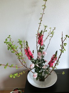 盛花2