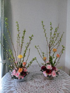かすみ草2