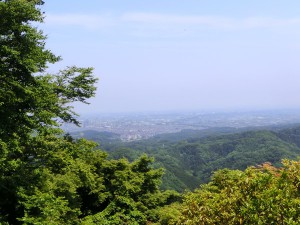 グリーン7