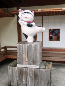猫2