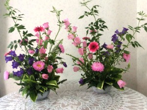 かすみ草3