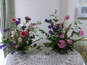 かすみ草4
