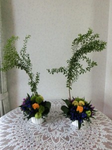 かすみ草3