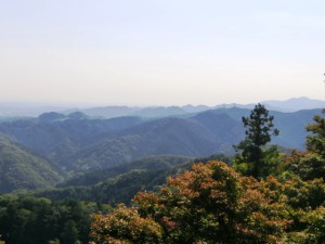 高尾山