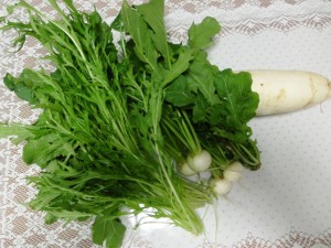 野菜