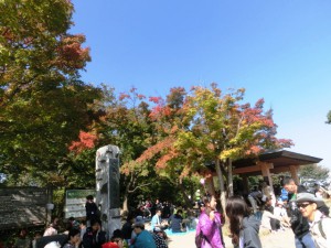 高尾山5