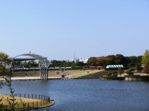 ひたち海浜公園