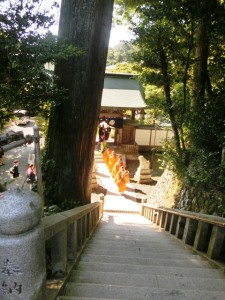高尾山6