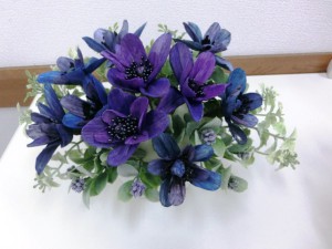 ソラフラワー2