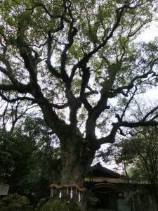 熱田神宮3