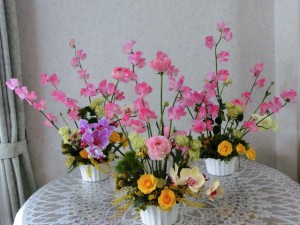 かすみ草2