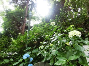 高尾山2