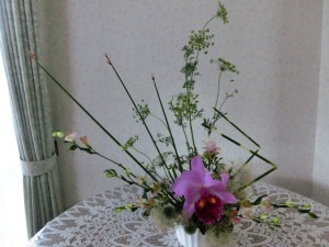かすみ草5
