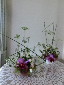 かすみ草3