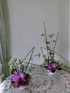 かすみ草4