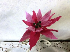 ポインセチア2