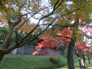 紅葉3