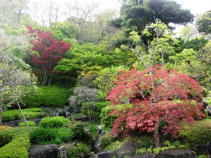 長谷寺5