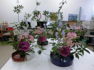 光生園2