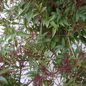 IMG_20200301_171553_365